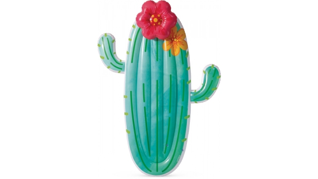 Intex 58793EU Cactus Float