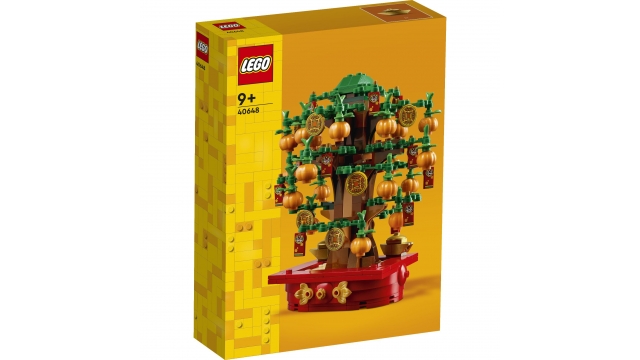 Lego Seasons and Occasions 40648 Geldboom