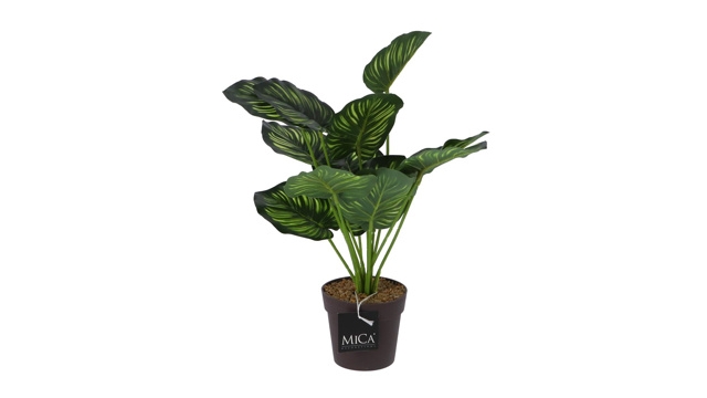 Mica Decorations Kunstplant Calathea In Pot Groen 40 Cm